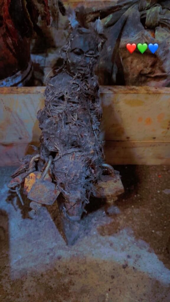 WhatsApp Image 2026-02-25 at 08.35.09