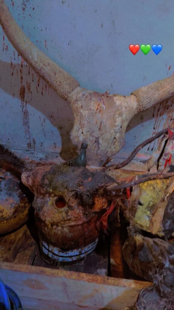 WhatsApp Image 2026-02-25 at 08.35.13 (1)