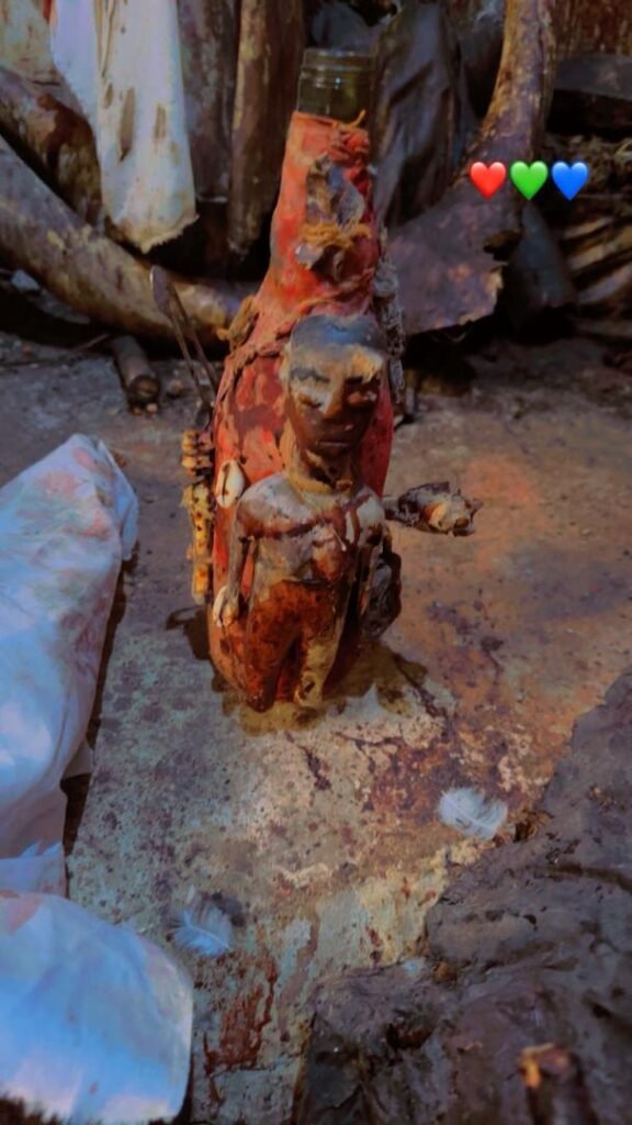 WhatsApp Image 2026-02-25 at 08.35.13