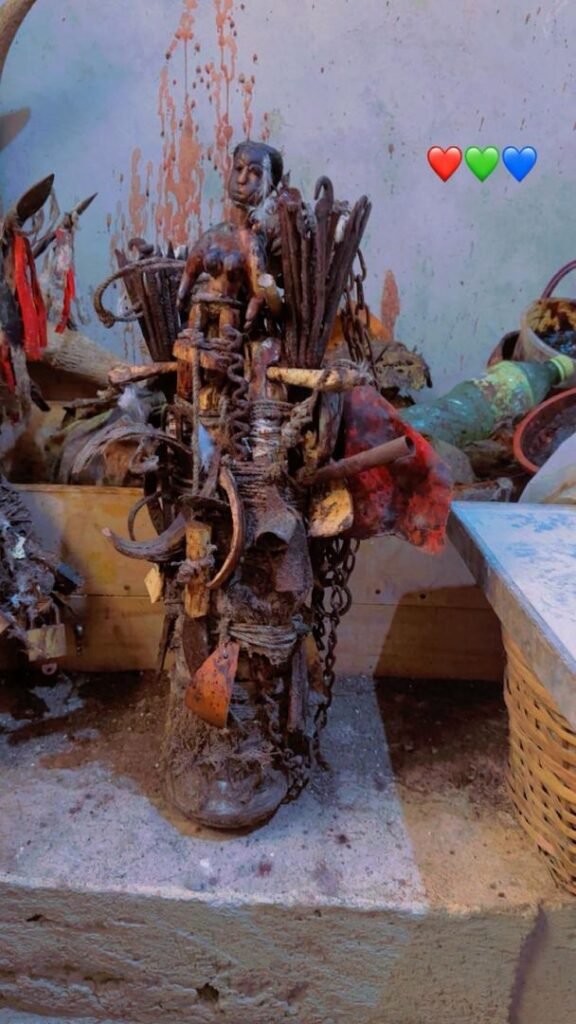 WhatsApp Image 2026-02-25 at 08.35.16