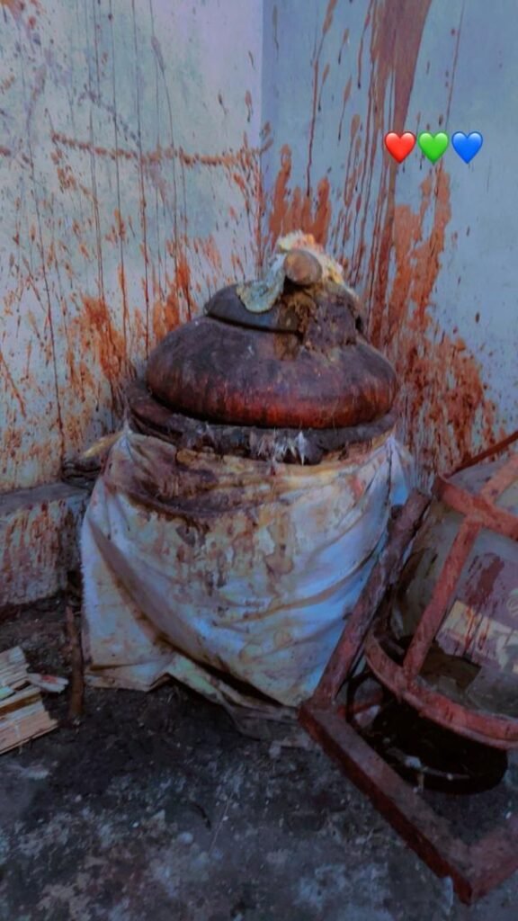 WhatsApp Image 2026-02-25 at 08.35.17 (1)