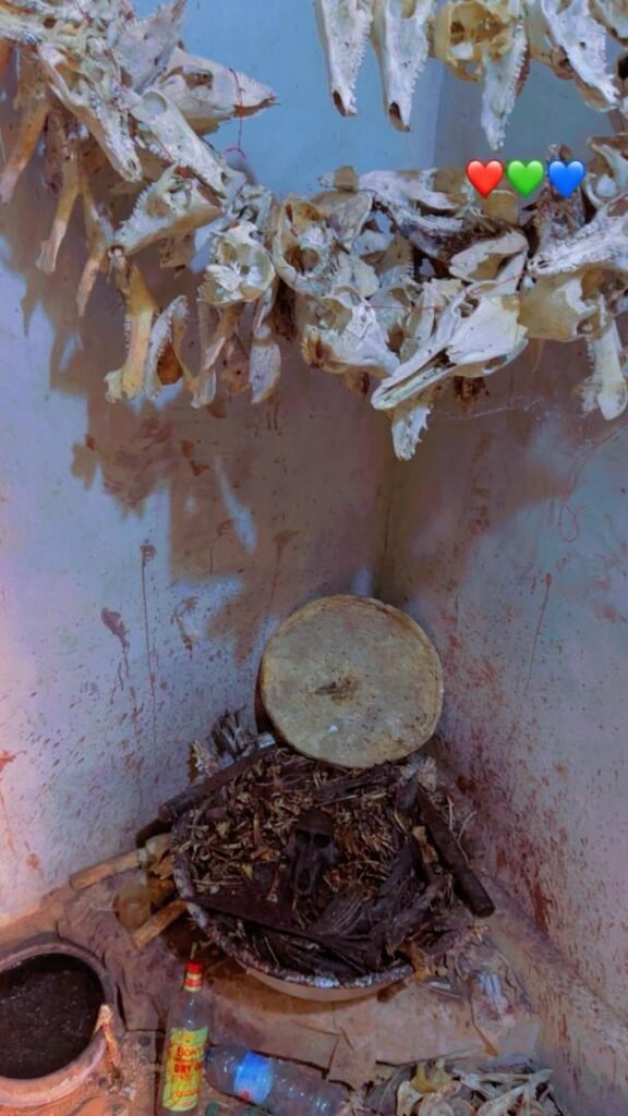 WhatsApp Image 2026-02-25 at 08.35.19 (1)